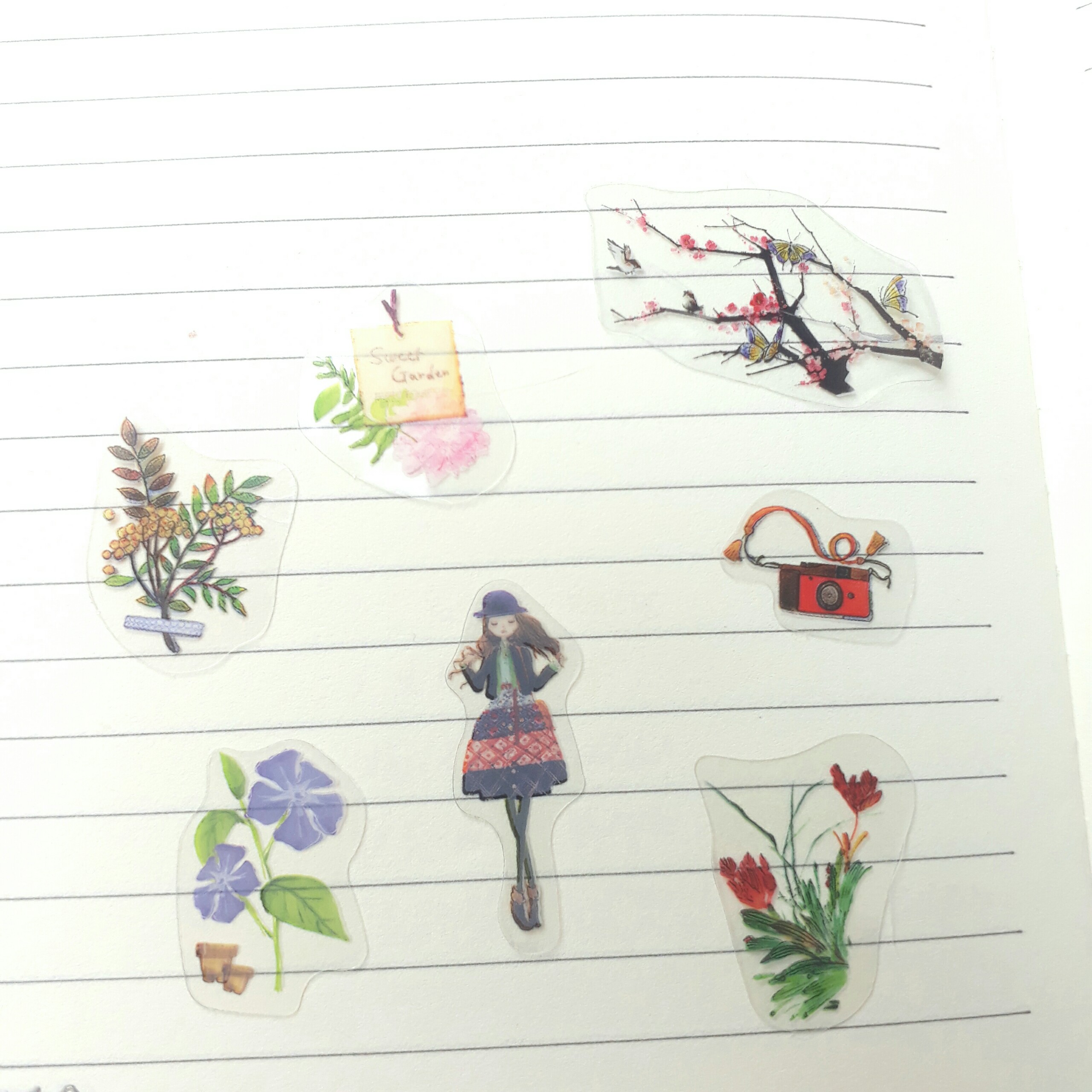 Bộ 48 Sticker Hình Dán mini Thanh Xuân