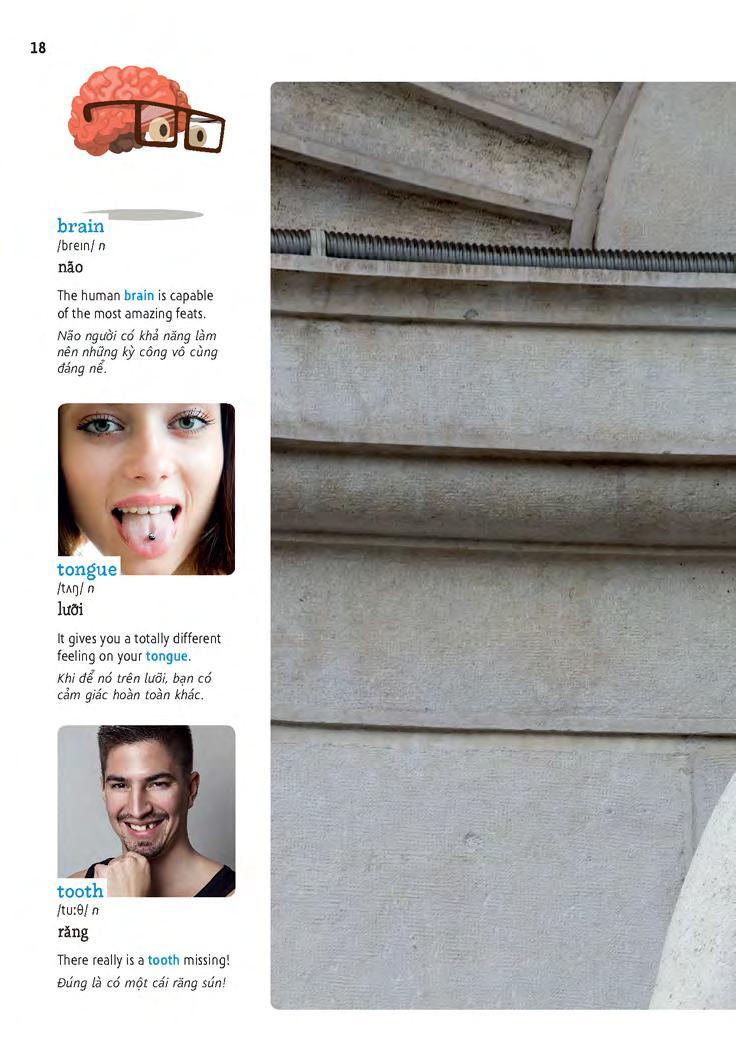 Sách Học Tự Vựng Tiếng Anh Qua Hình Và Ví Dụ Minh Họa