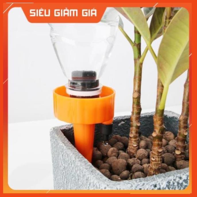 Set 12 que cắm tưới cây nhỏ giọt 206801