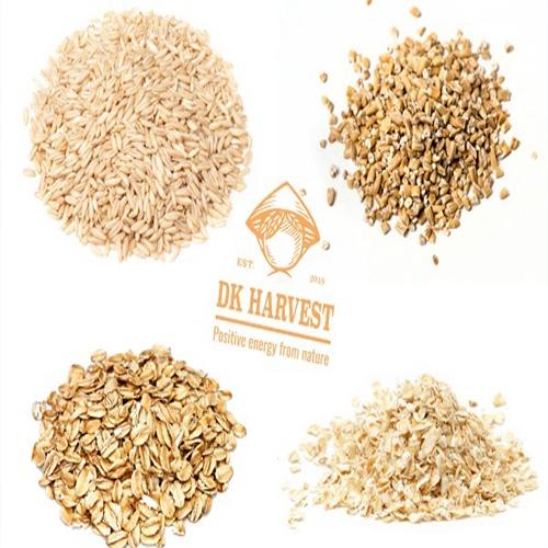 COMBO TIẾT KIỆM Yến Mạch Cán Dẹt Nguyên Chất Nhập Khẩu Úc DK Harvest - ngũ cốc tác dụng giảm can