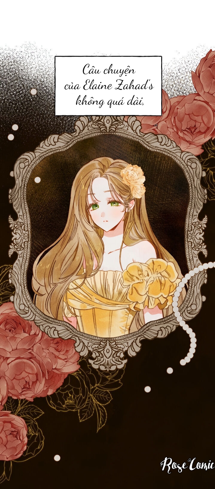 có vẻ như cuộc ly hôn với người chồng đen tối đã không thành chapter 0.5 2