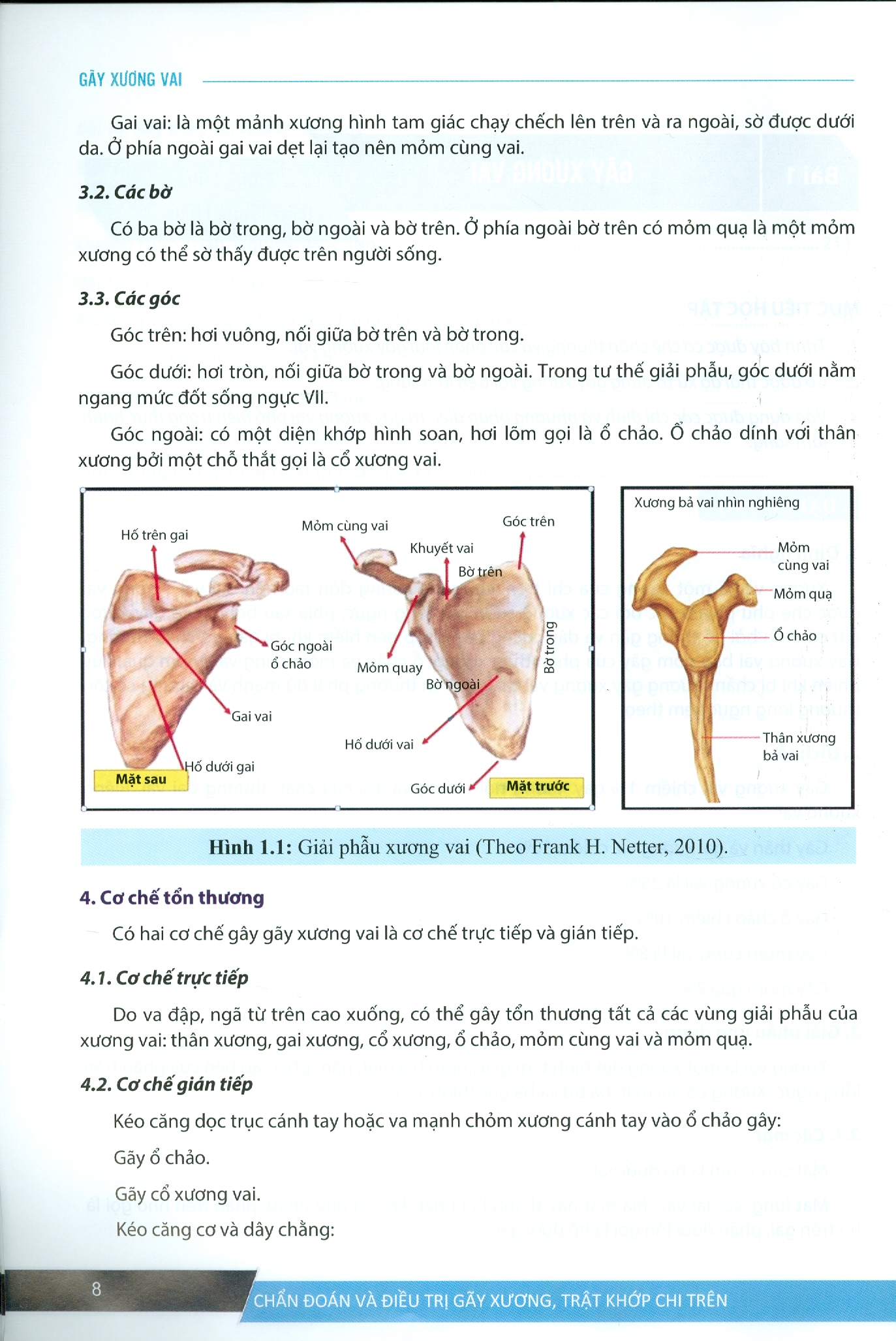 Chẩn Đoán Và Điều Trị Gãy Xương Trật Khớp Chi Trên (Giáo trình đào tạo sau đại học) - Tái bản năm 2022