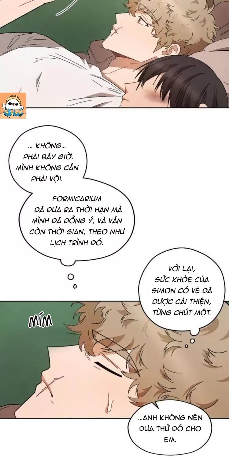 liveta chapter 38 42