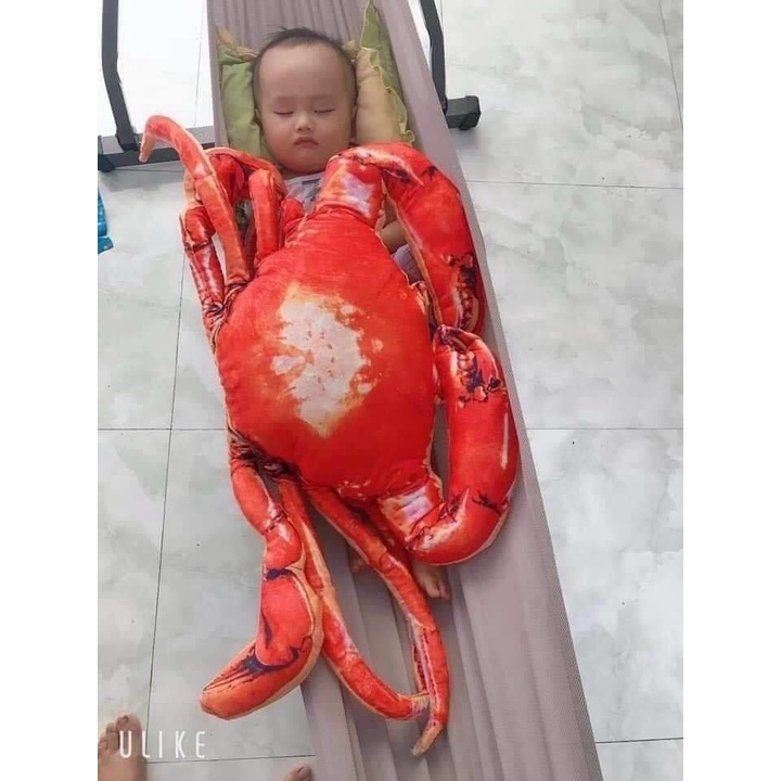 GẤU BÔNG CUA CÀ MAU , GHẸ BÔNG 3D SIÊU TO KHỔNG LỒ