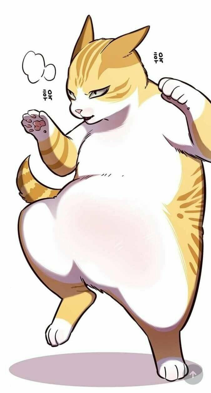 biến thân thành mèo chapter 144 14