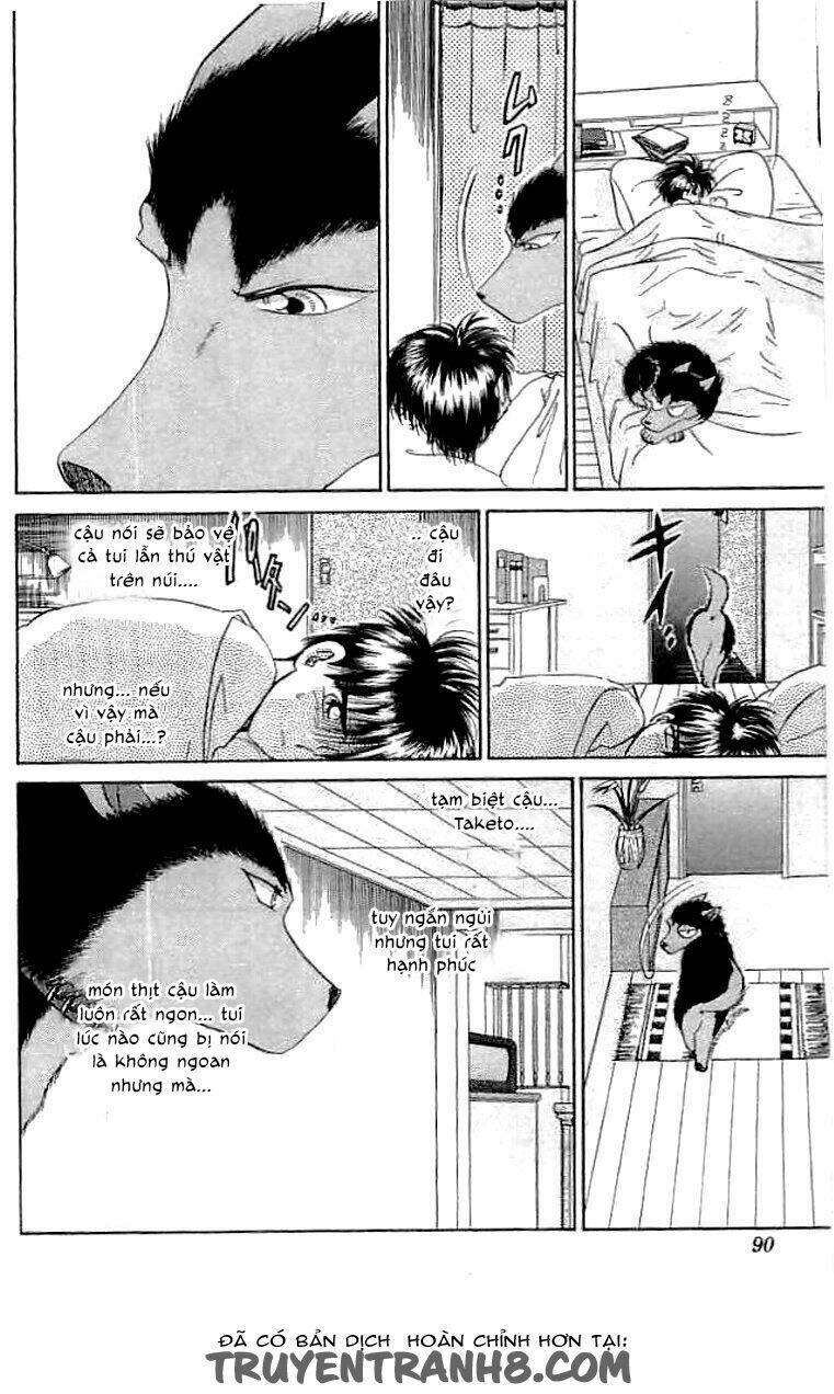 wild half chapter 21 6