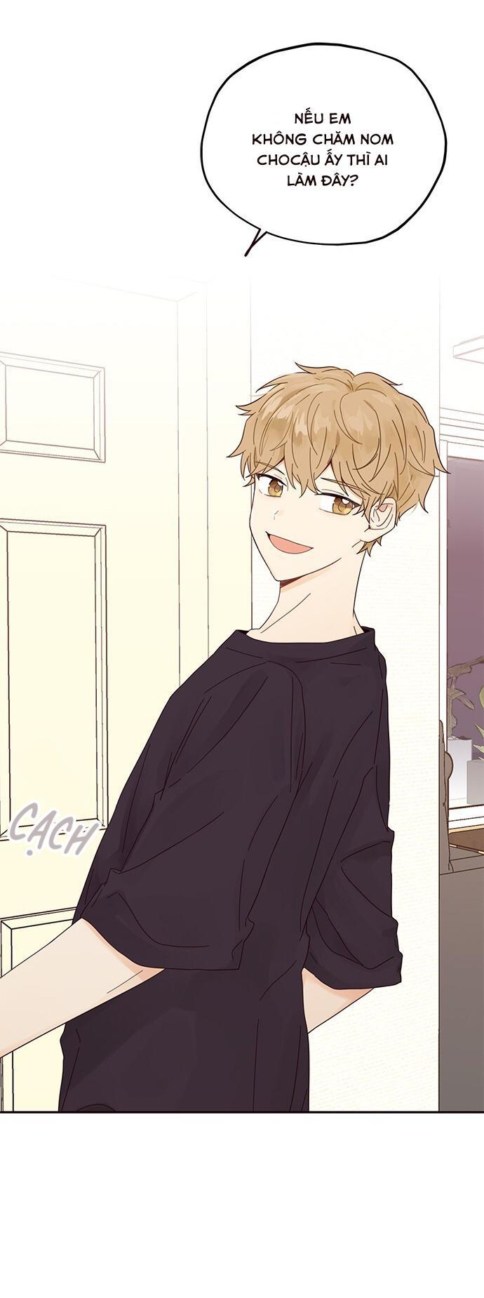 sợi chỉ tình yêu chapter 17 50