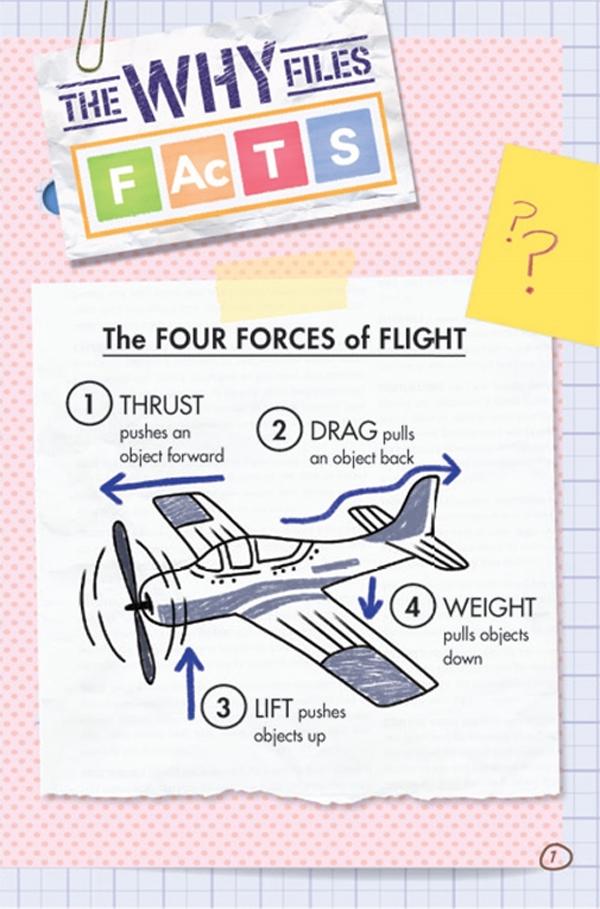 Ada Twist, Scientist: The Why Files #1 - Exploring Flight!