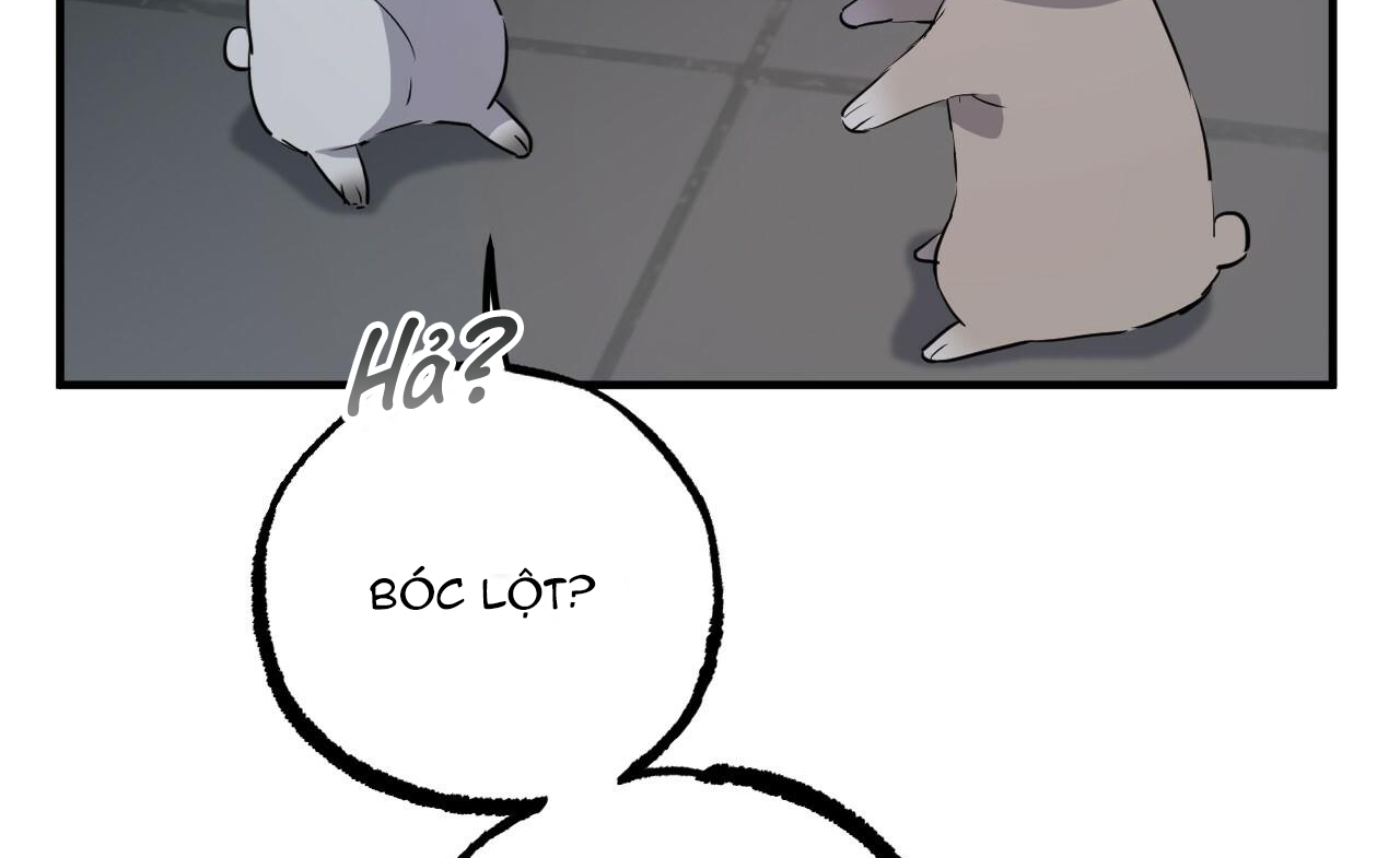 đàn thỏ của habibi chapter 46 60