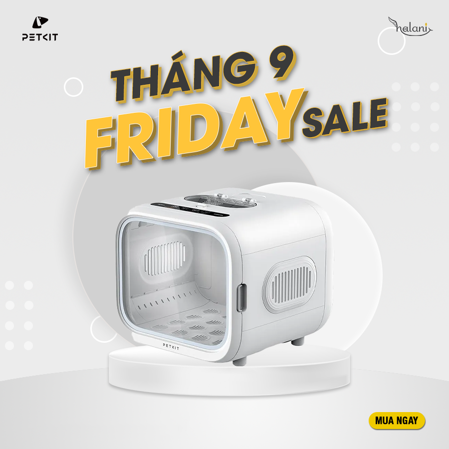 Máy sấy Airsalon Max