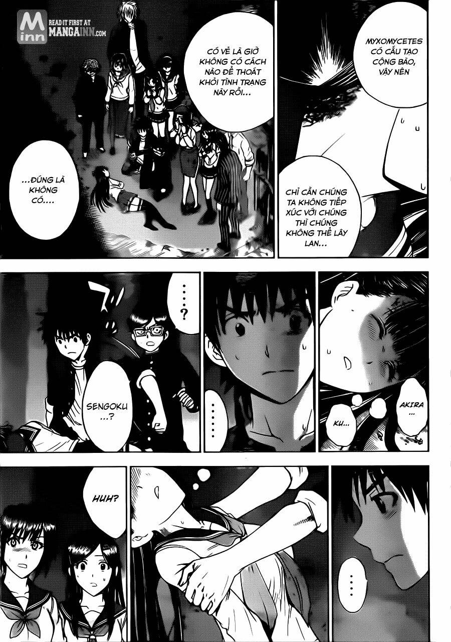 cage of eden chapter 177 11