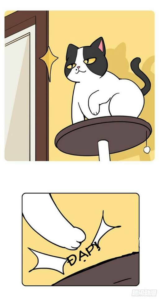 hello dư tuyết đặc chapter 2 8