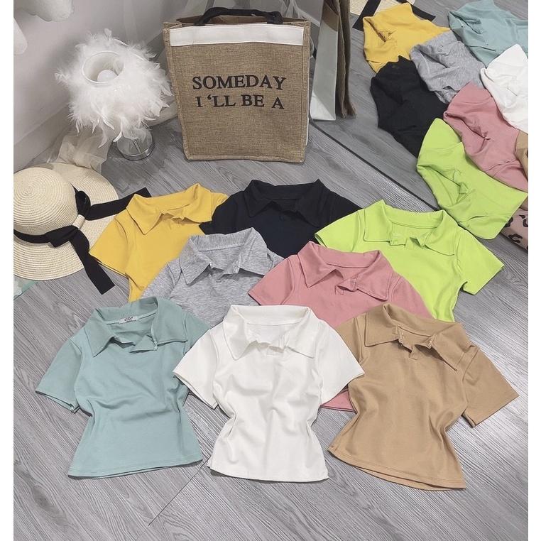 áo croptop rip cổ bẻ - freesize dưới 55kg - Carotshop - CRS