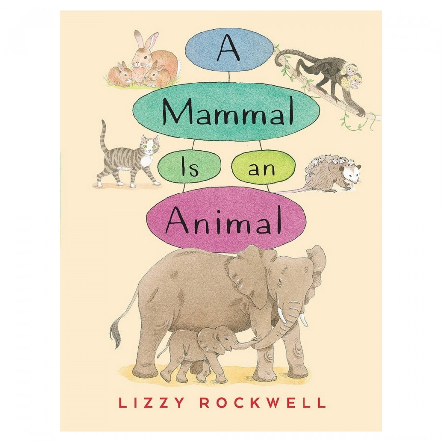 A Mammal Is An Animal