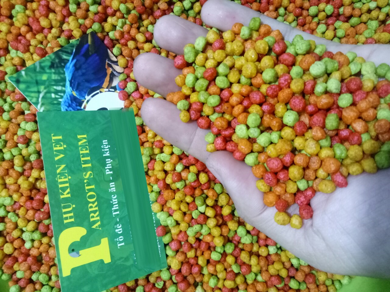 1KG HẠT TRÁI CÂY SIZE NHỎ