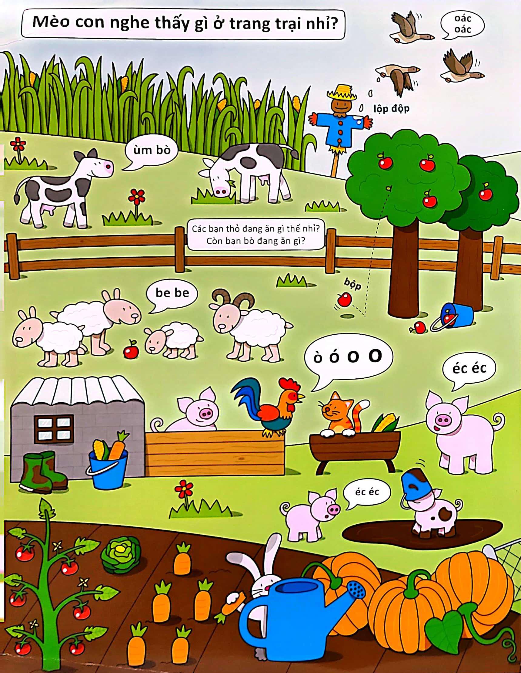 Sách Cùng Tìm Với Bé: Mèo Con Nghe Thấy Gì