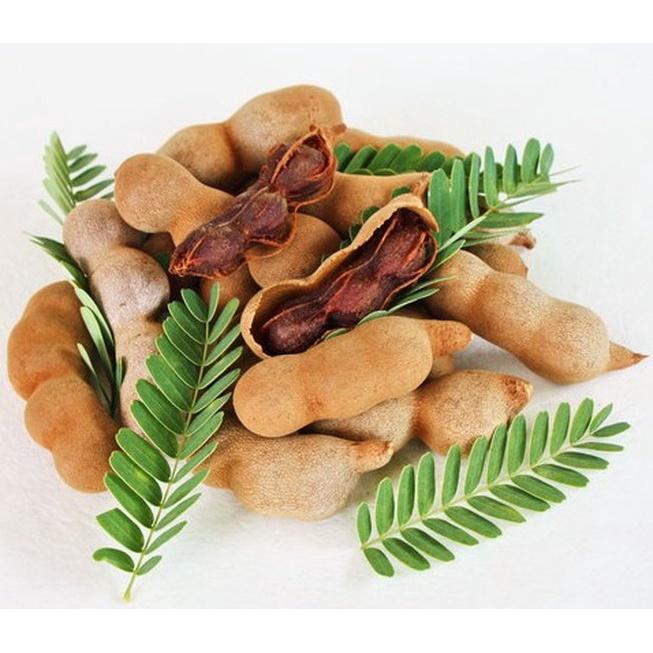 Cây giống ME THÁI NGỌT CƠM DÀY