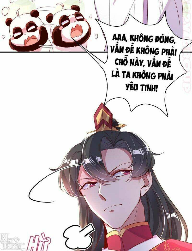 thiên thần gấu trúc muốn được ôm chapter 56 23