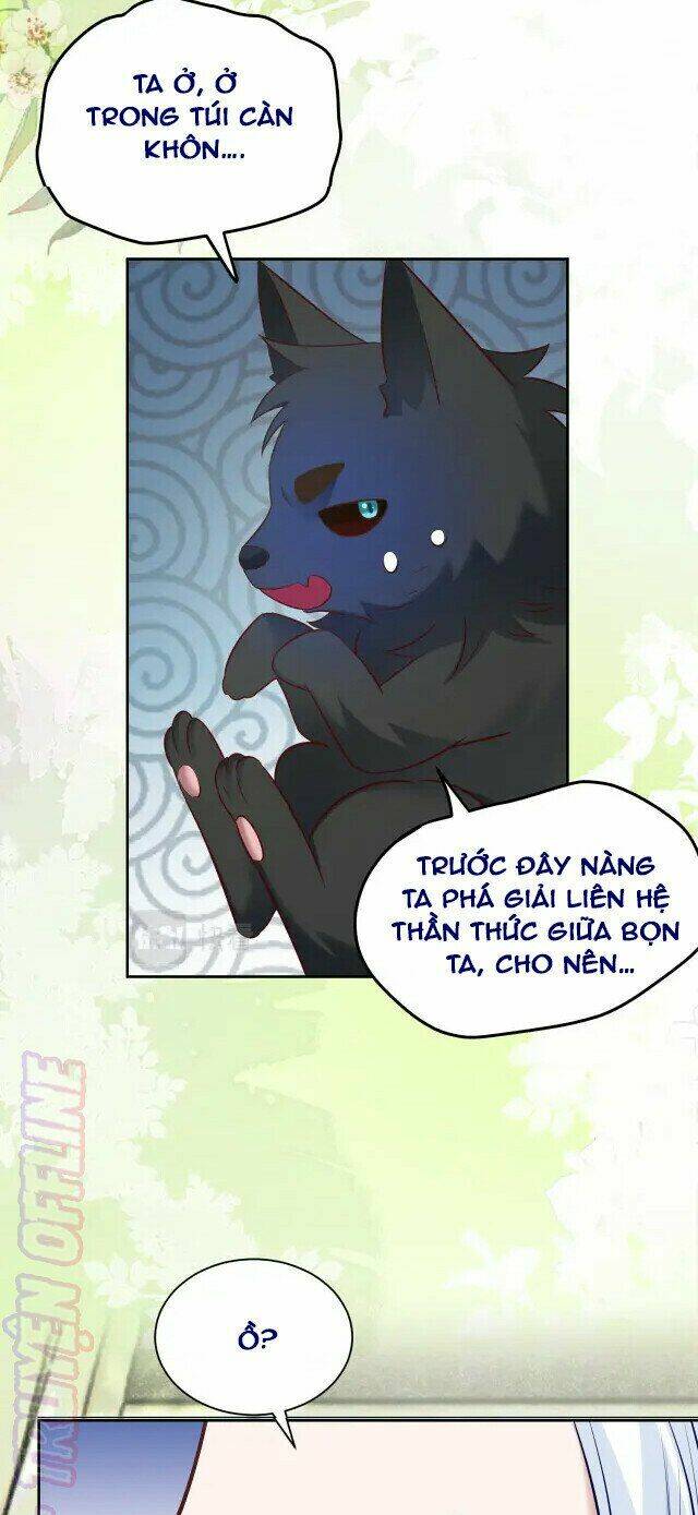 hắc hóa nam chính trực tuyến nuôi thỏ chapter 44 17