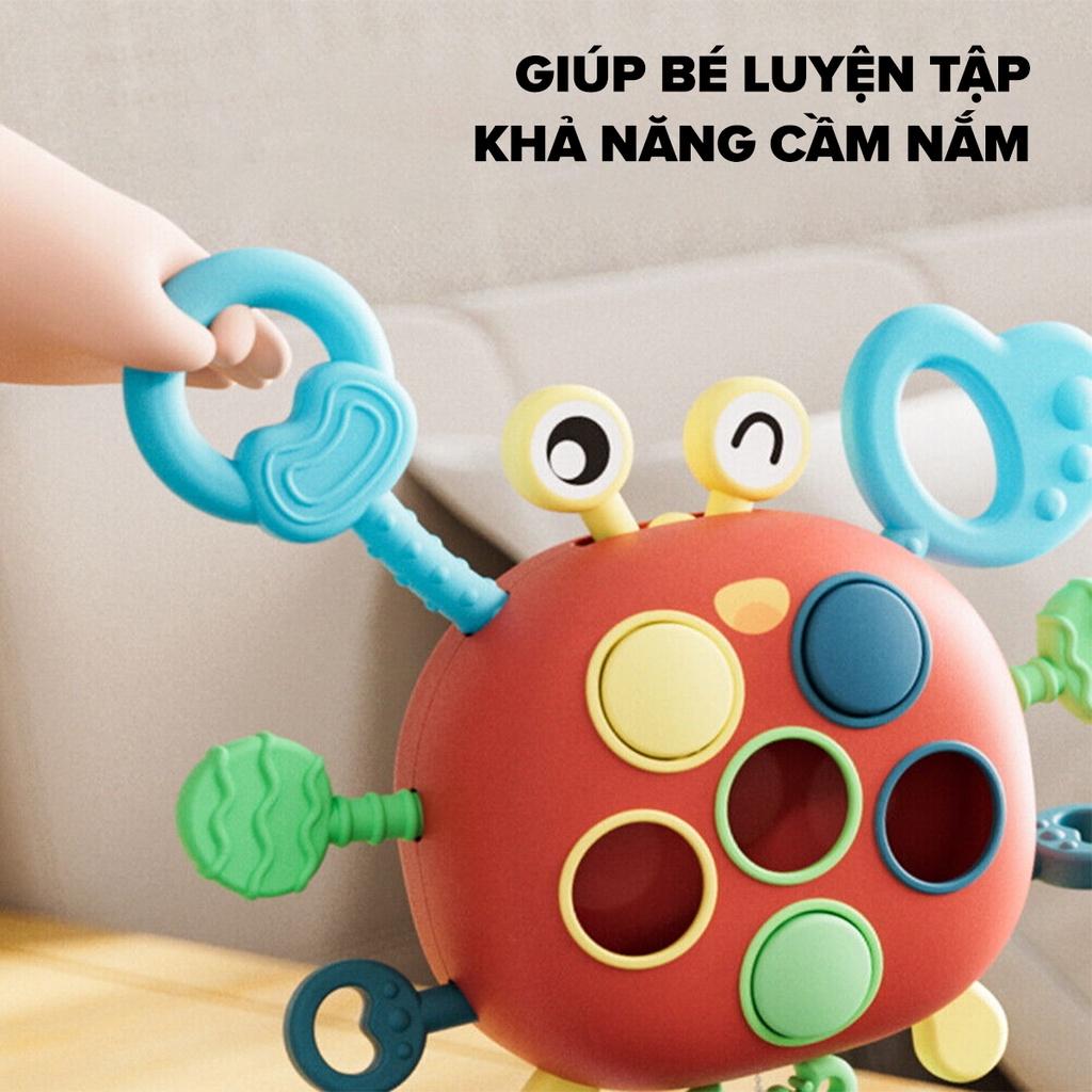 [GIFT] Đồ chơi con cua - Colosmulti - đồ chơi vận động cầm tay cho bé rèn luyện cầm nắm