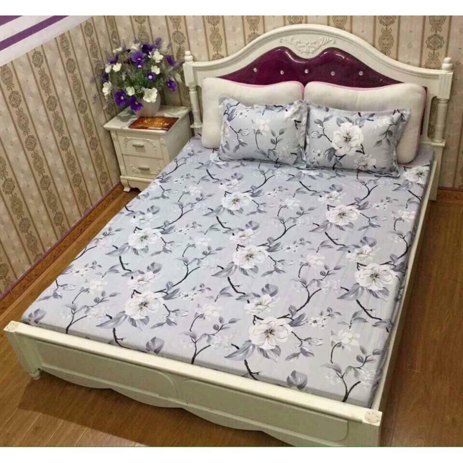 Bộ ga chun và 2 vỏ gối cotton poly - Mẫu hoa ghi siêu đẹp