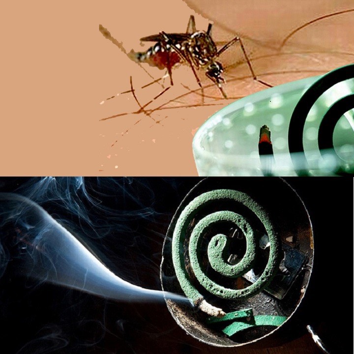 Hương Vòng , Hương Muỗi Trung Quốc Tiểu Thần Đồng An toàn không chất độc hại