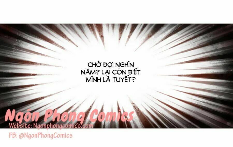 thiên niên minh vương cộng chẩm miên chapter 1 54