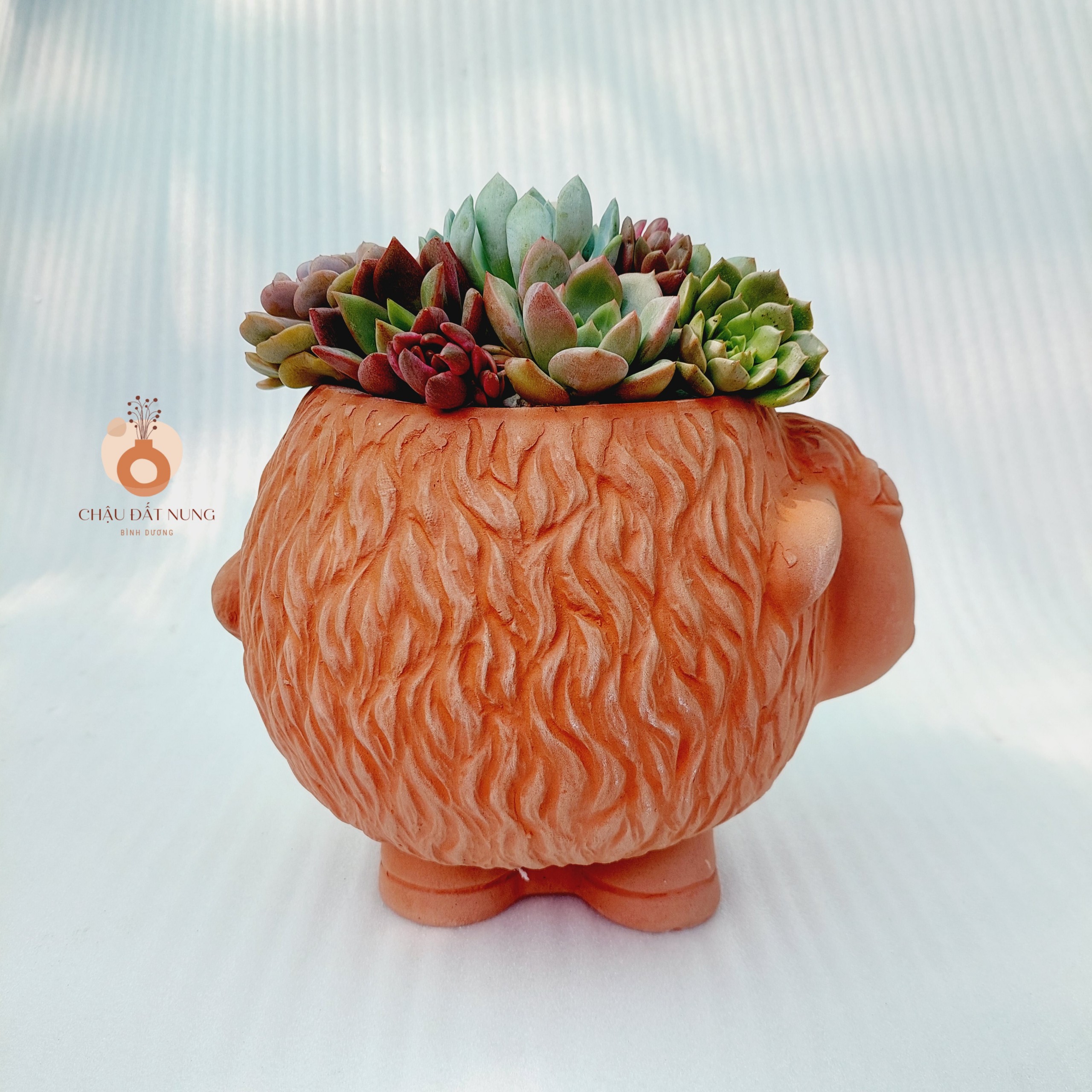 Chậu đất nung Bình Dương - Cừu Mập Heo, miệng chậu 12cm, chiều cao 17cm