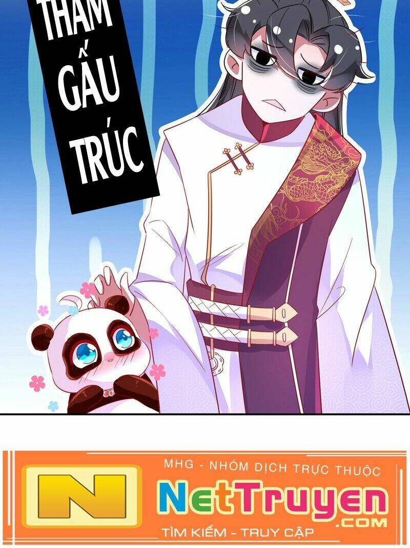 thiên thần gấu trúc muốn được ôm chapter 58 26