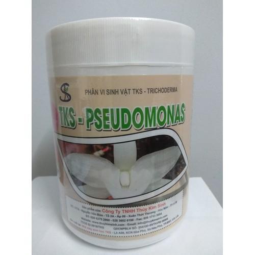 Phân vi sinh vật TKS PSEUDOMONAS hộp 1 kg