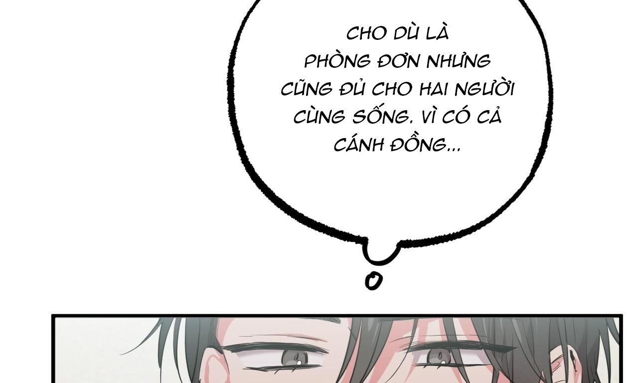 đàn thỏ của habibi chapter 31 148