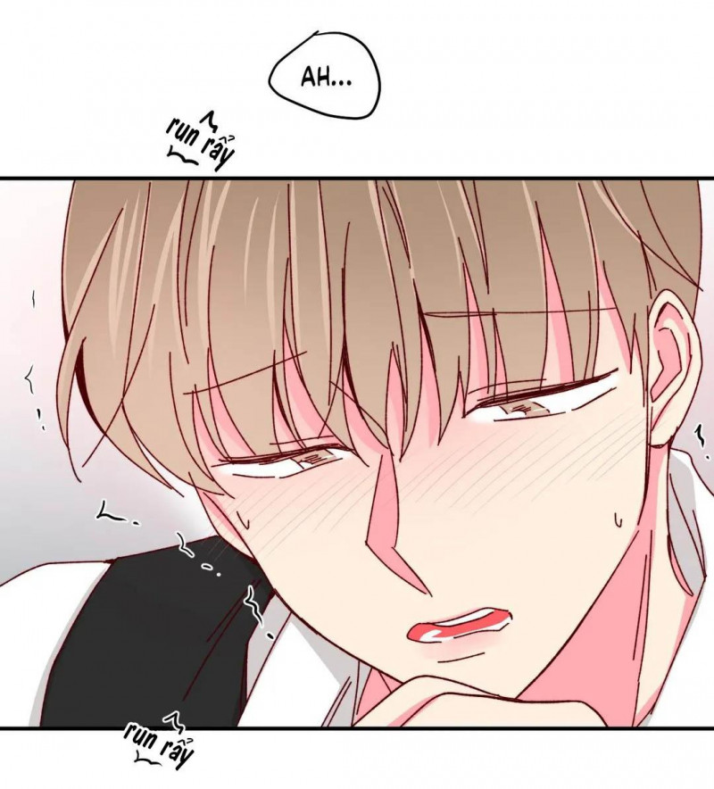 món tráng miệng của sếp tổng chapter 45 35