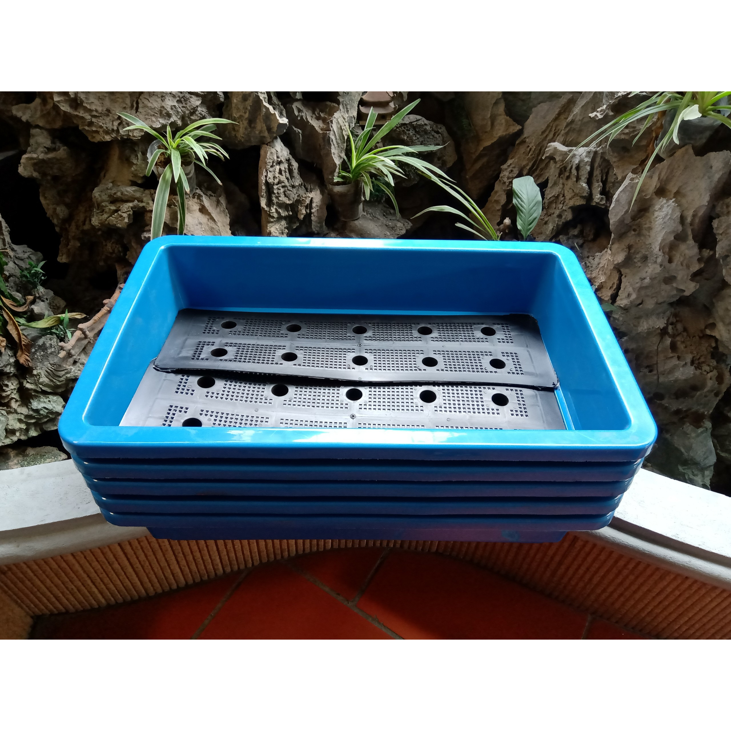 Combo 5 chậu trồng rau thông minh 2 đáy màu xanh 67x43x15 cm