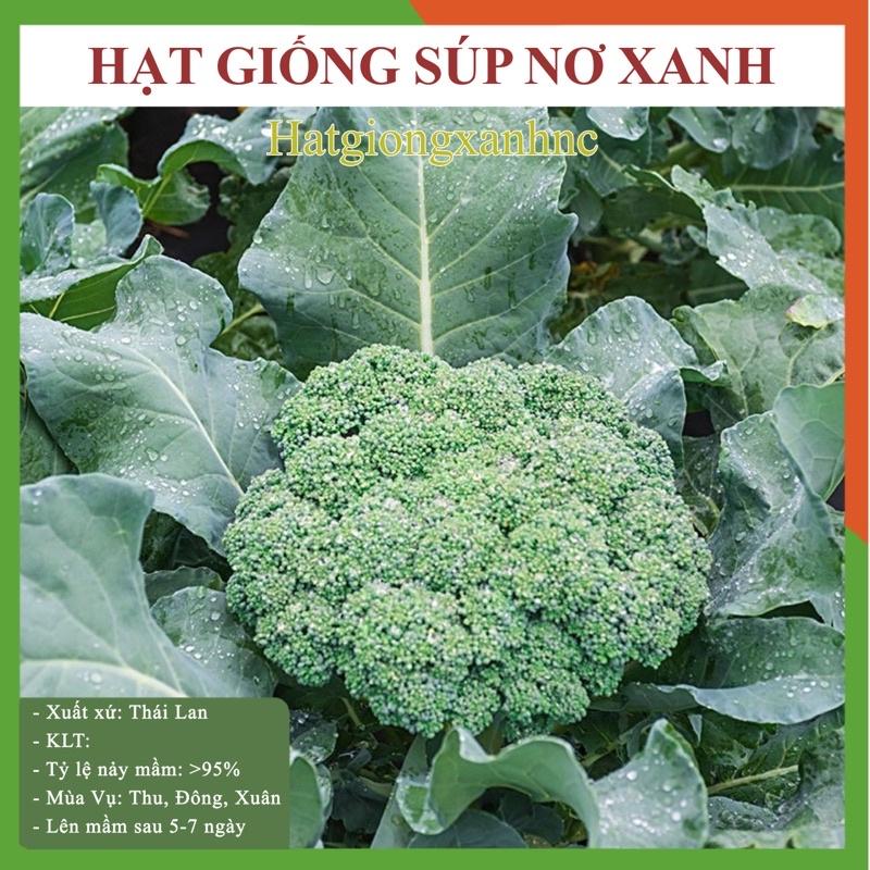 Hạt giống súp lơ xanh