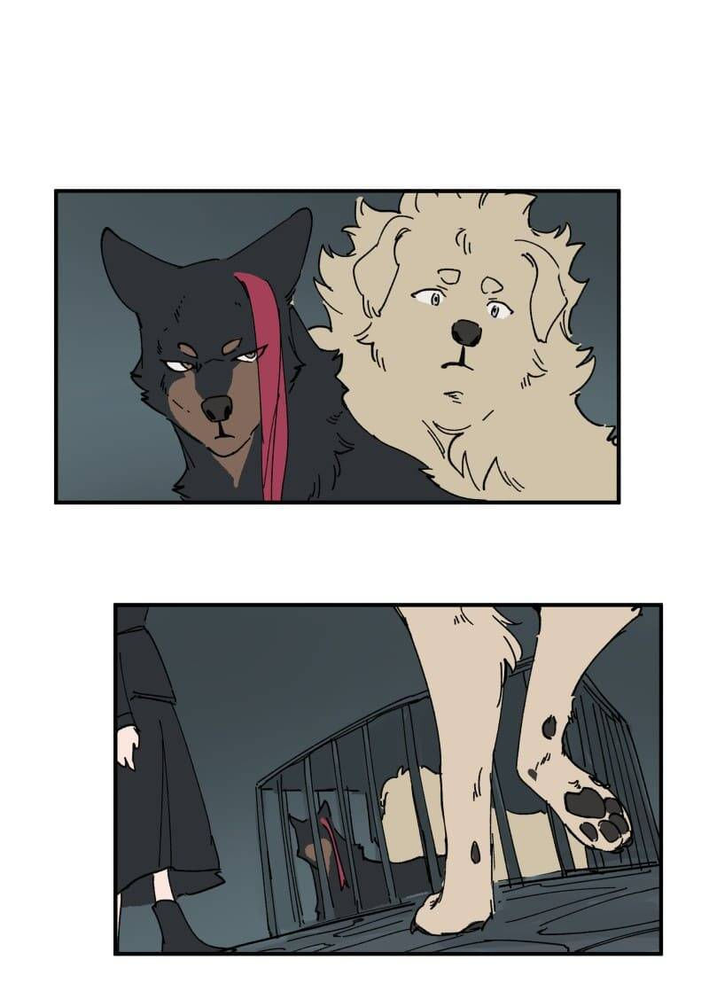 lumine - cội nguồn ánh sáng chapter 143 25