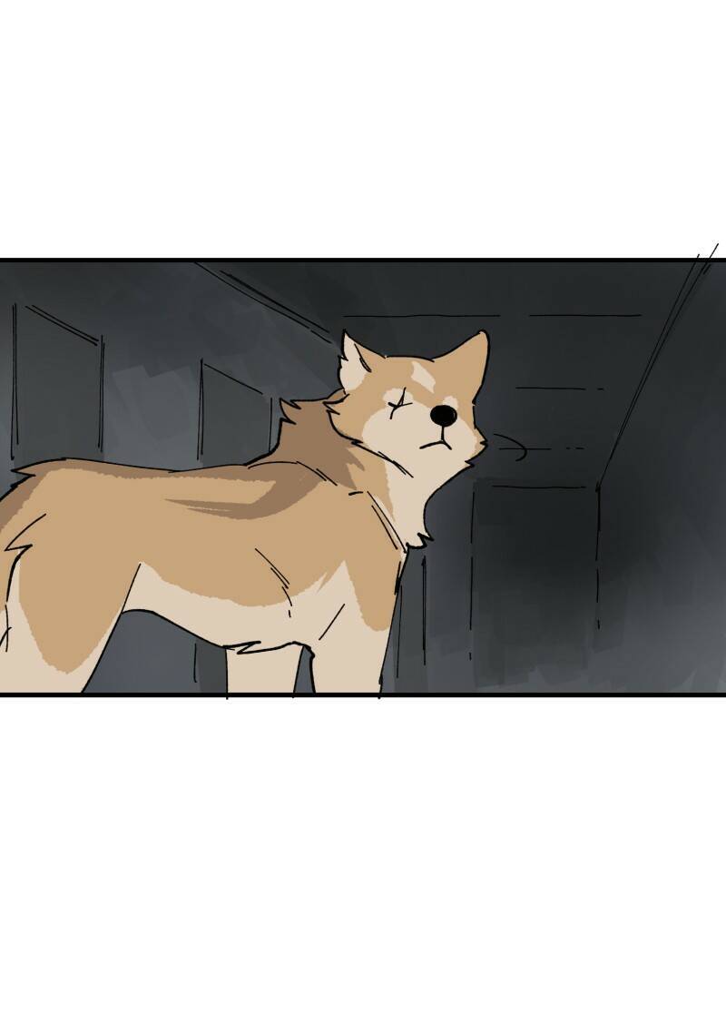 lumine - cội nguồn ánh sáng chapter 148 22