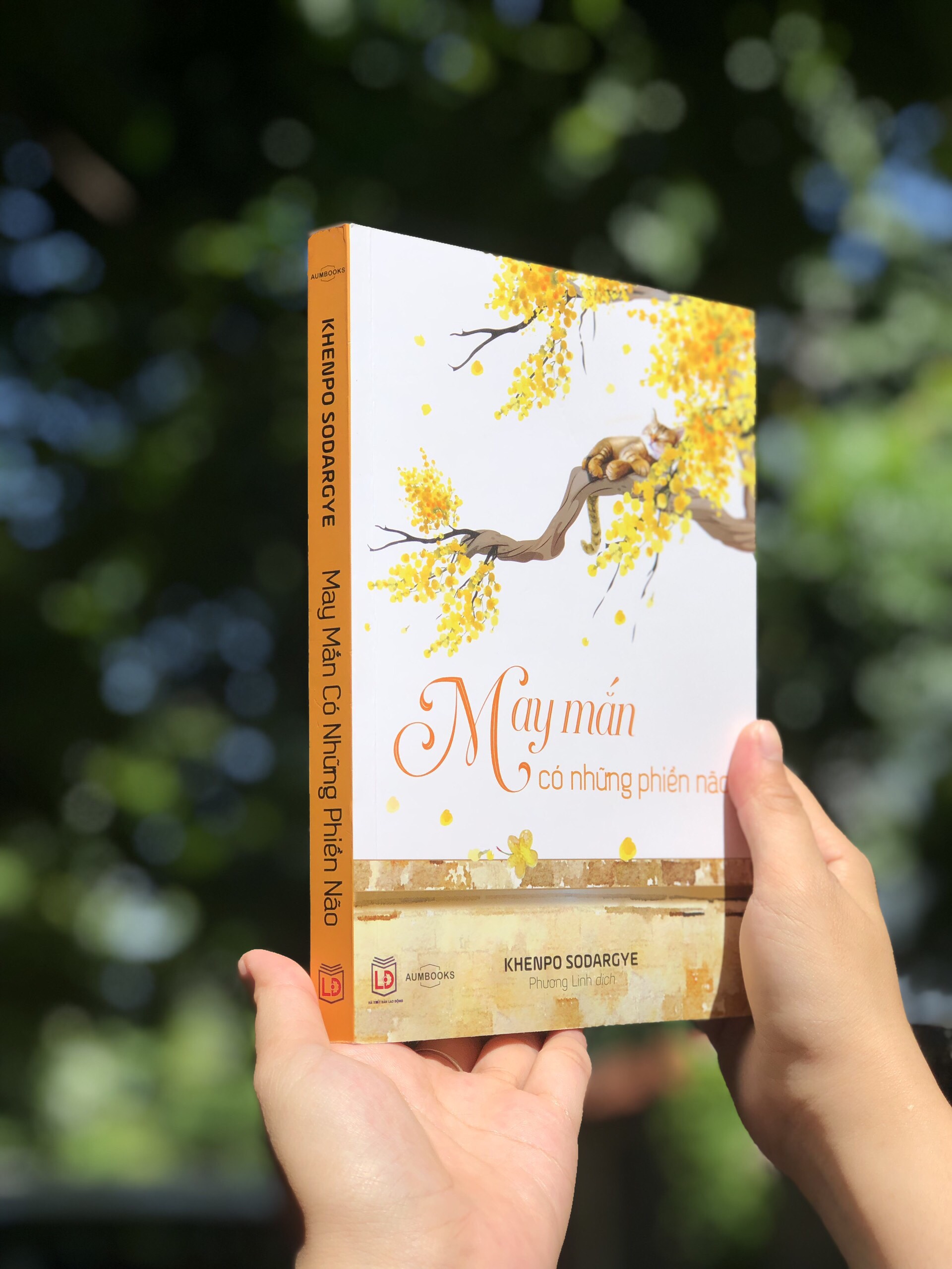 Sách May Mắn Có Những Phiền Não - Sách tôn giáo, nghệ thuật văn hóa, tác giả KHENPO SODARGYE - Á Châu Books, bìa mềm, in màu