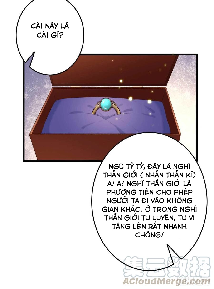 đế tôn cuồng sủng: thần y đặc công phế tài phi chapter 1 30