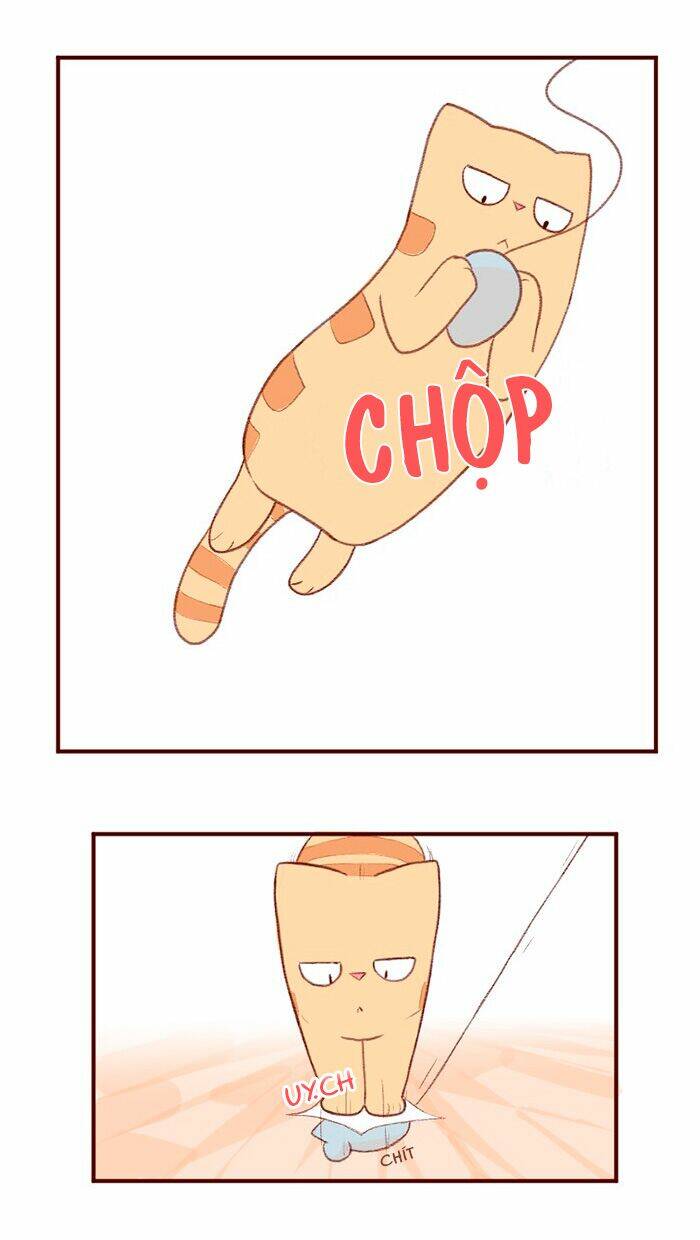 saphie: chú mèo một mắt chapter 3 4