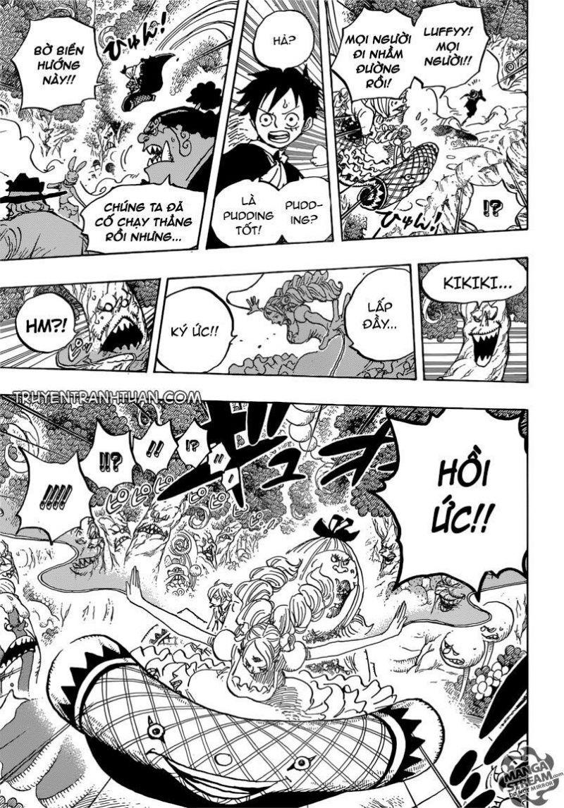 đảo hải tặc - one piece chapter 876 12