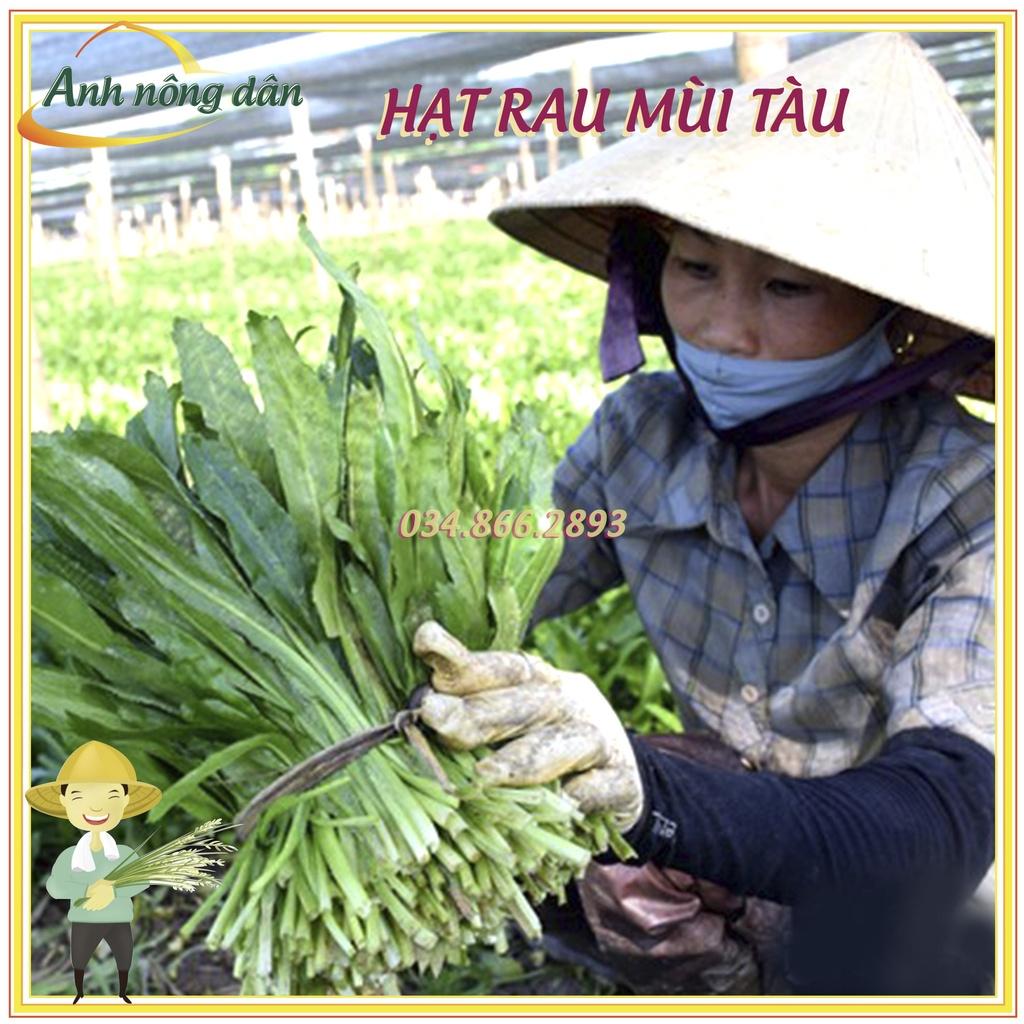 Gói 5gr Hạt giống rau ngò gai dễ chăm sóc, trồng quanh năm