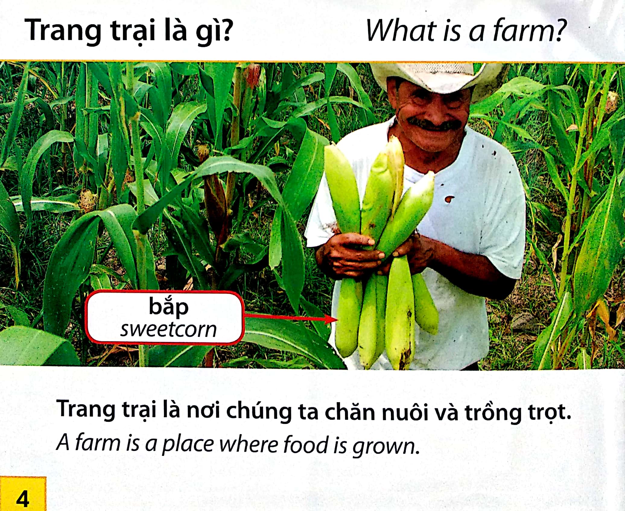 Thế Giới Trang Trại - Các Mùa Ở Trang Trại