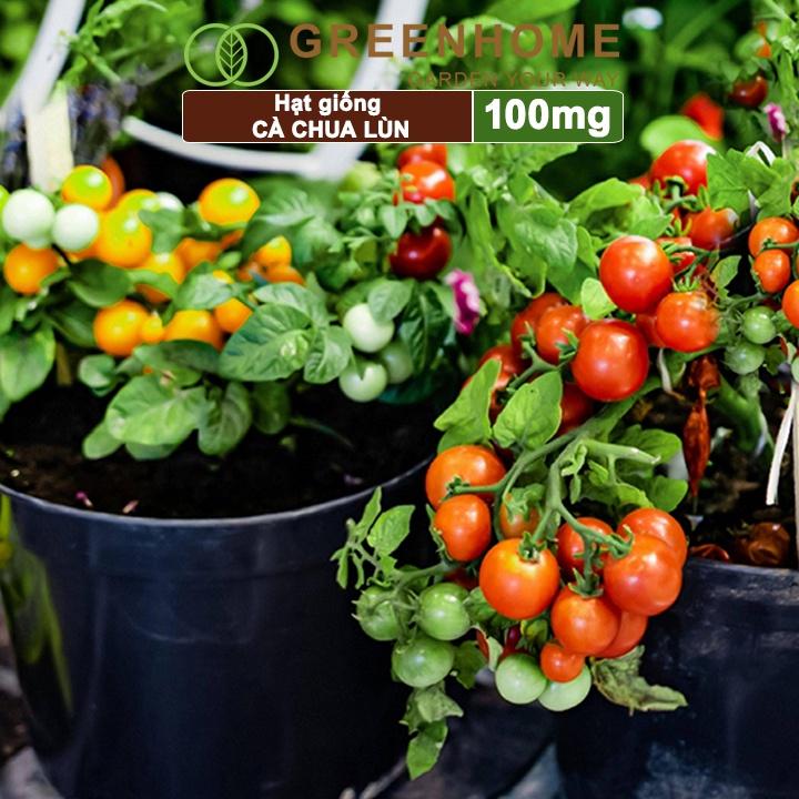 Hạt Giống Cà Chua Greenhome, Gói 0.1gr, Chịu Nhiệt, Trồng Chậu, Ra Nhiều Quả, Cây Sinh Trưởng Nhanh T15