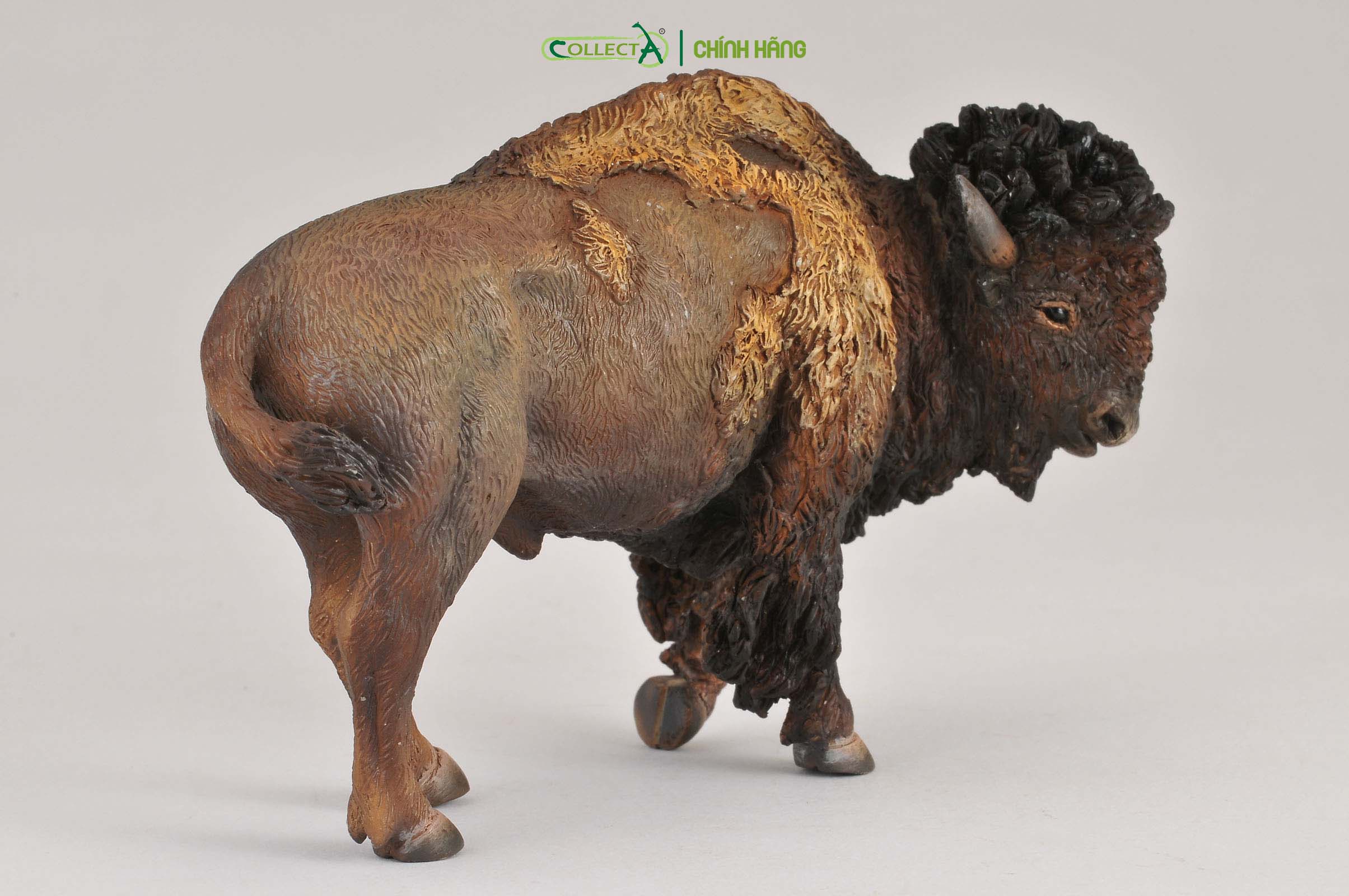 Mô hình thu nhỏ: Bò Rừng Bison - American Bison, hiệu: CollectA, mã HS 9651410[88336] -  Chất liệu an toàn cho trẻ - Hàng chính hãng