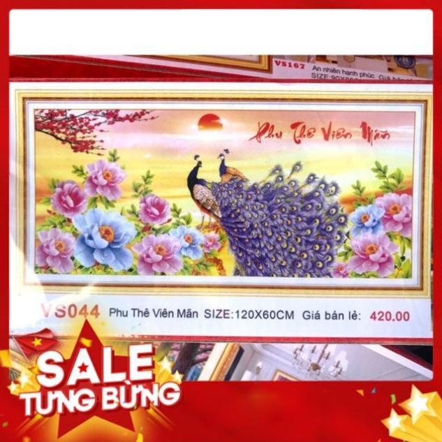 Tranh ĐÍNH ĐÁ Công Phu Thê Viên Mãn VS044 |120x60cm| Chưa đính