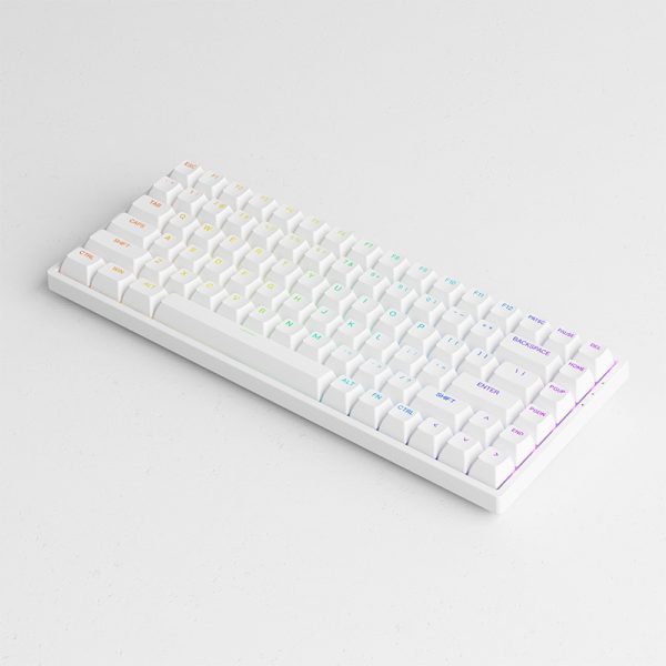 Bàn phím cơ AKKO 3084 v2 RGB Black/White _Mới, hàng chính hãng