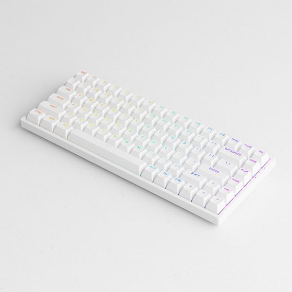 Bàn phím cơ AKKO 3084 v2 RGB Black/White (Foam tiêu âm / Hotswap / AKKO CS Jelly switch)_Mới, hàng chính hãng