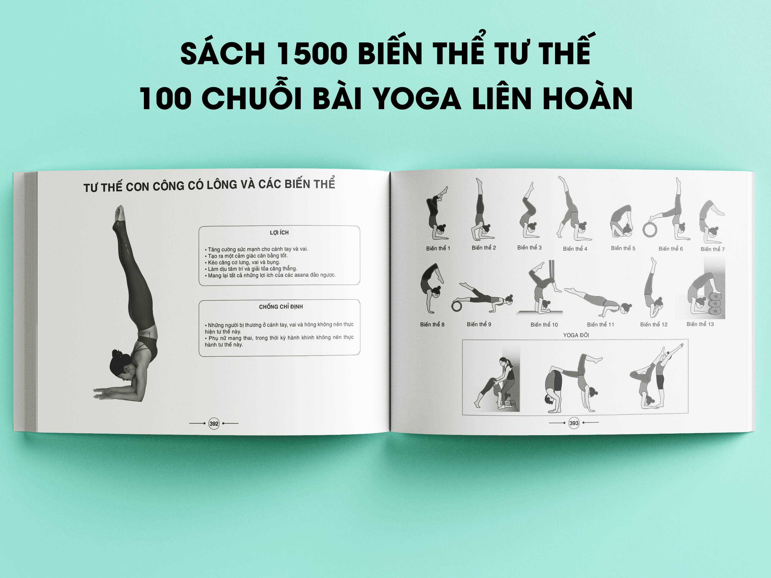 Bộ sách cho Giáo viên Yoga cơ bản: Hướng dẫn khởi động &amp; 200 tư thế Yoga + Giáo án giảng dạy Yoga trị liệu + Hệ thống 1500 biến thể &amp; 100 chuỗi bài Yoga liên hoàn + Những bài dẫn thiền hay dành cho giáo viên Yoga