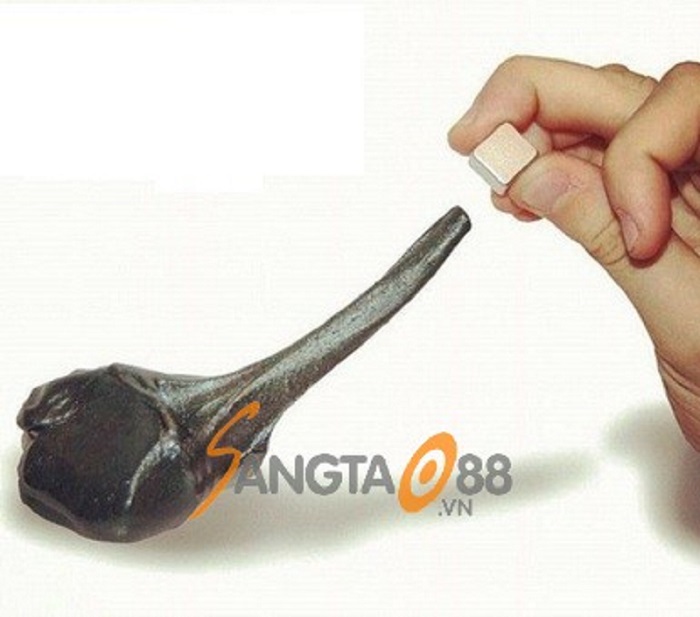 Đồ chơi trí tuệ nam châm dẻo biến dạng