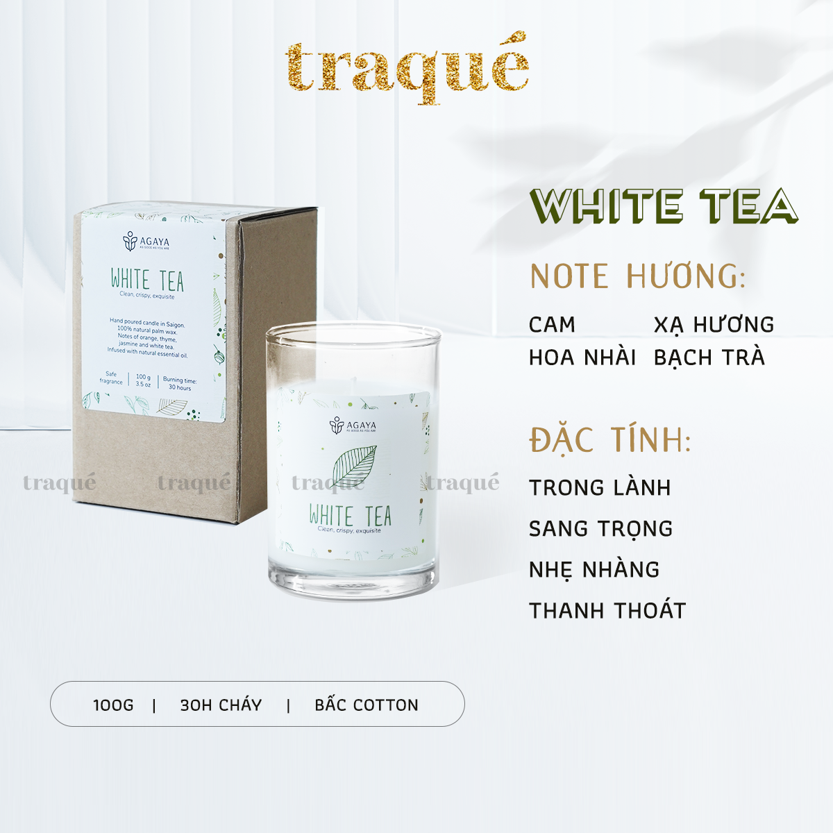 Nến thơm Candle Cup/Agaya - Hương Hoa WHITE TEA